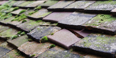 Bryngwyn roof repair costs